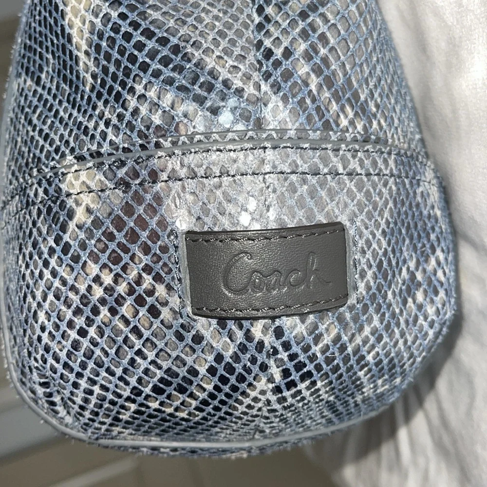 Coach Alexandra Python tote bag